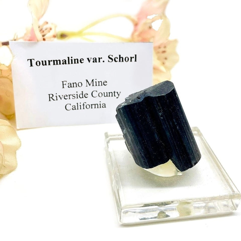 Tourmaline var. Schorl Mineral Specimen (California, USA)
