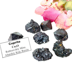 Cuprite Mineral Specimen (Rubtsovskiy Mine, Altaiskiy Krai, Russia)