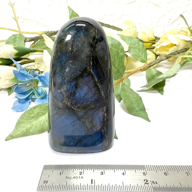 Labradorite AAA Quality Free Forms with Blue Fire or Labradorescence (Intuition)