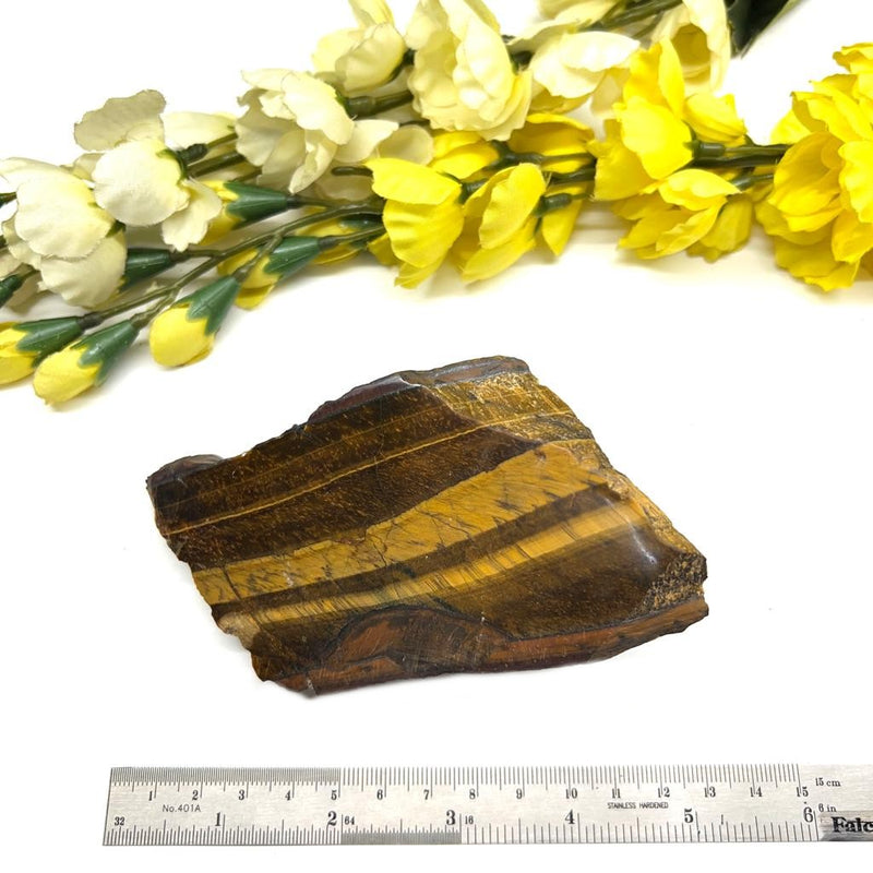 Tiger Eye One Side Polished Rough (Confidence)
