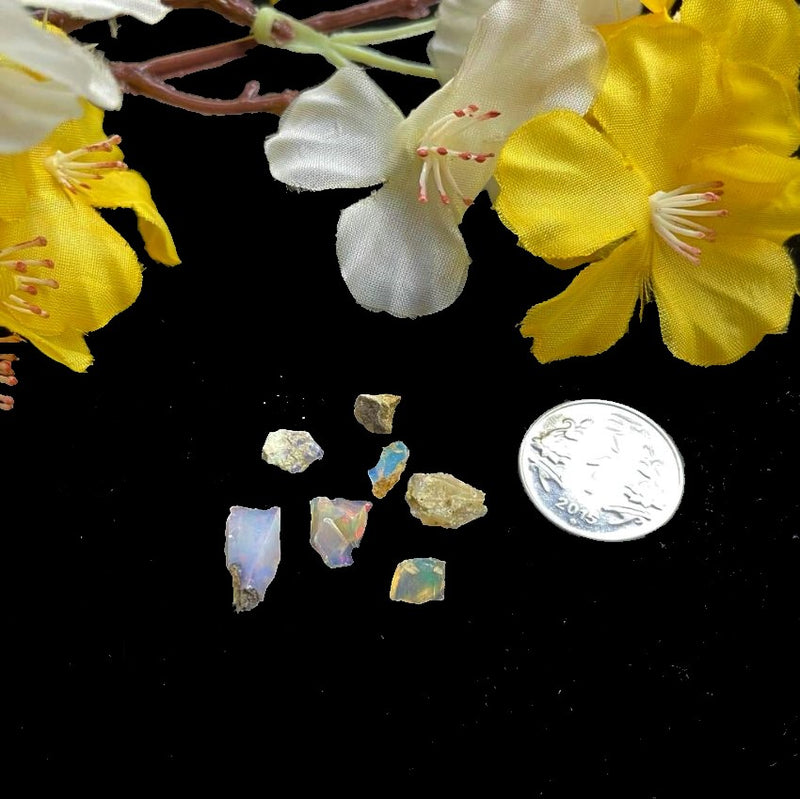 Ethiopian Opal (Highest potential & Intuition)