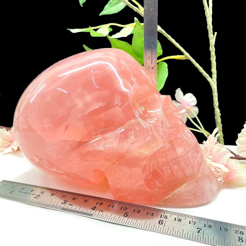 Jumbo Rose Quartz Crystal Skull (Love & Peace)