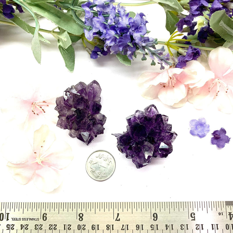 Amethyst Flower Shaped Cluster (Intuition and Meditation)
