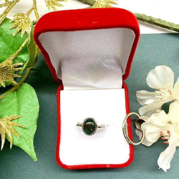 Bloodstone Adjustable Ring in Silver