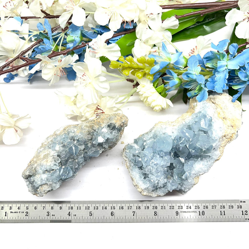 Celestite Cluster (Astral Travel and Intuition)