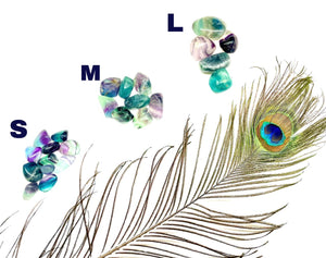 Multi Fluorite Tumble (Mental clarity and Learning)