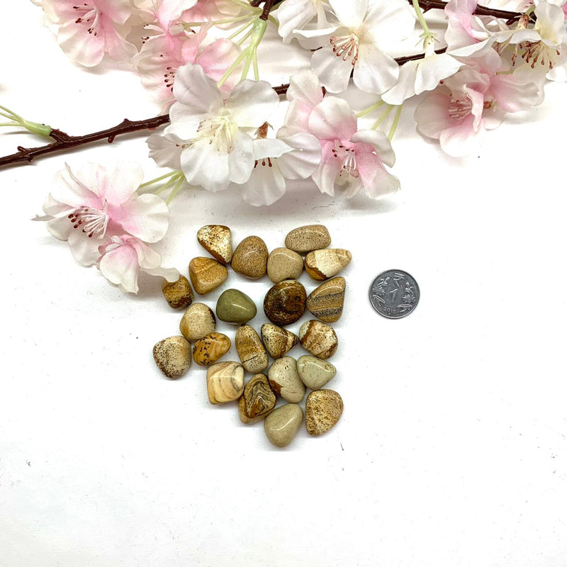 Picture Jasper Tumble (Confidence and Grounding)