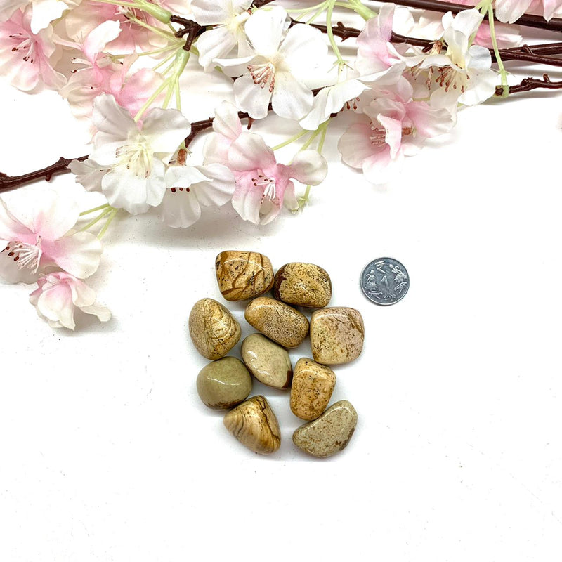 Picture Jasper Tumble (Confidence and Grounding)