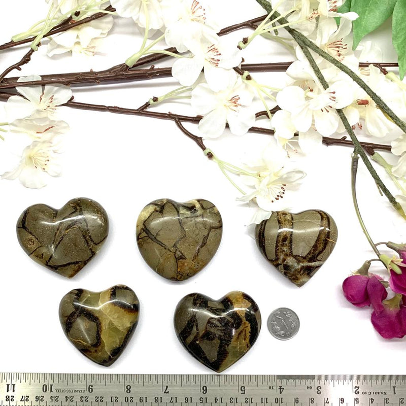 Septarian Heart (Grounded Communication)