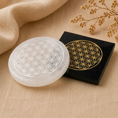 Charging & Protection Plates