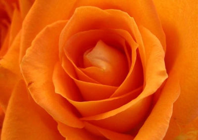 Sacral Chakra