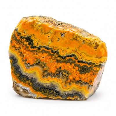 Bumble Bee Jasper