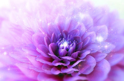 Crown Chakra