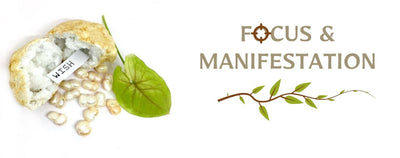 Focus & Manifestion