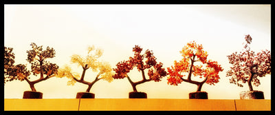 Trees