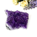 Amethyst Cluster AAA Extra Quality (Intuition and Spiritual Evolution)