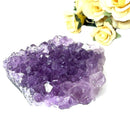 Amethyst Cluster (Spirituality and Wisdom)