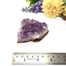 Amethyst Cluster (Spirituality and Wisdom)