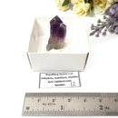 Brandberg Amethyst Cluster & Points (High Vibration Healers)