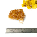 Citrine Cluster (For Career and Business)