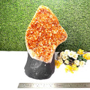 Citrine Standing Clusters AAA Extra Quality (For Career and Business)
