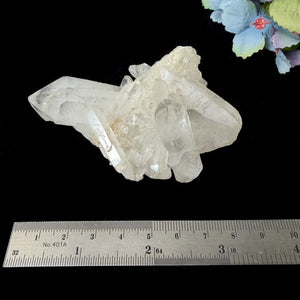 #Size_option a (126 g)