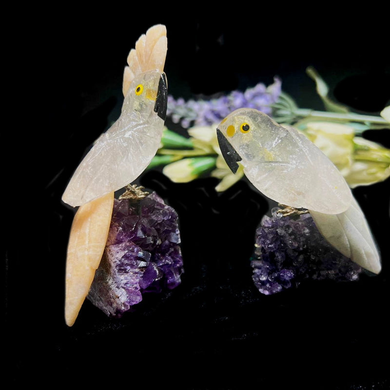 Small Crystal Birds / Parrots on Amethyst Druzy from Brazil