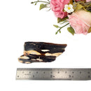 Peanut Wood Slices  (Stability)