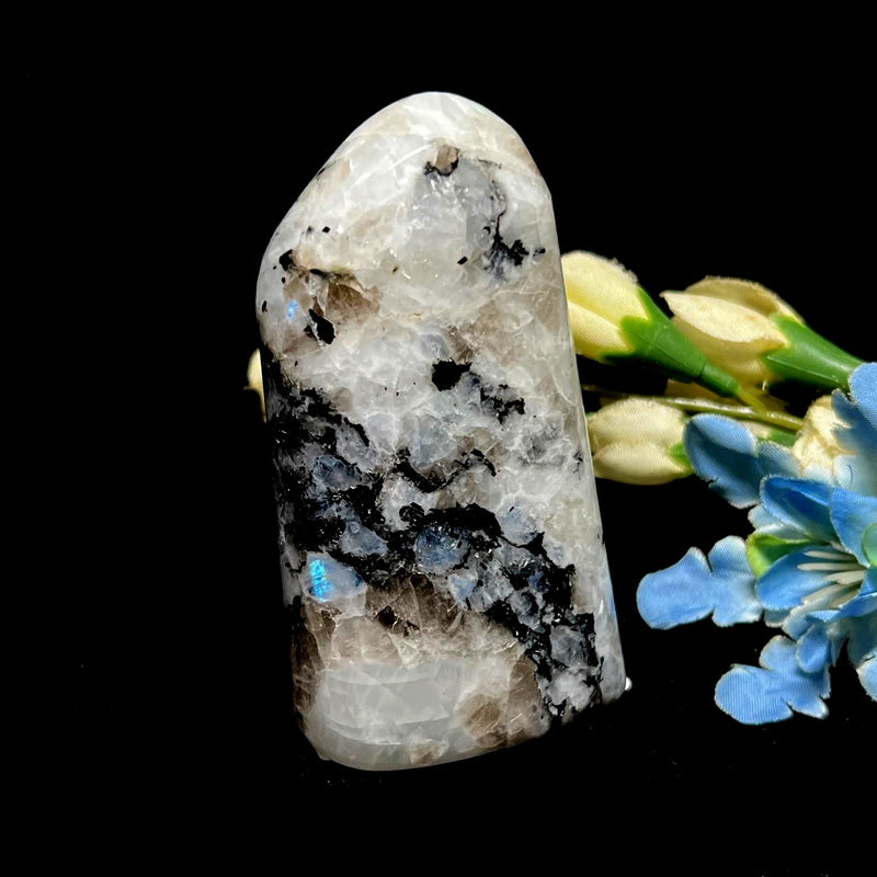 Rainbow Moonstone Free Forms (Divine Feminine Energy)