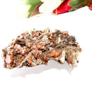 Red Vanadinite on Barite Matrix from Morocco