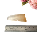 Smoky Quartz Lemurian Natural Points