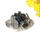 Smoky Quartz Cluster (Grounding & Balancing)