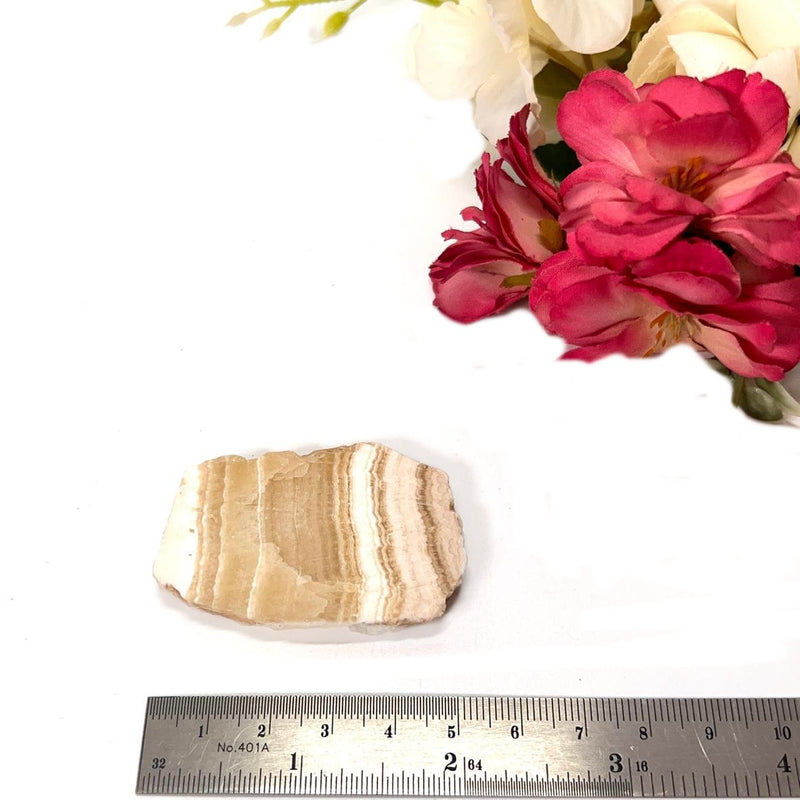 Yellow Lace Agate Slice