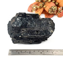 Elite Rough Black Tourmaline Medium Sized (Grounding & Protection)