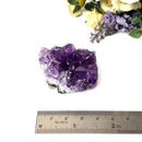 Amethyst Cluster AAA Extra Quality (Intuition and Spiritual Evolution)