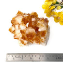 Large Citrine Clusters (Career and Business)