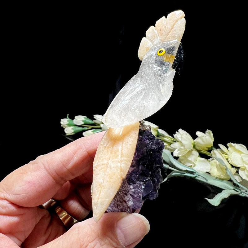 Small Crystal Birds / Parrots on Amethyst Druzy from Brazil