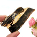 Peanut Wood Slices  (Stability)