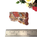 Red Ocean Jasper Slice (Patience)