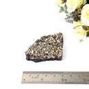 Shungite with Pyrite Rough from Brazil