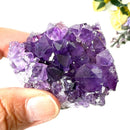 Amethyst Cluster AAA Extra Quality (Intuition and Spiritual Evolution)