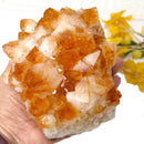 Large Citrine Clusters (Career and Business)