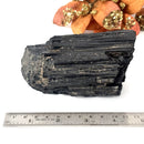 Elite Rough Black Tourmaline Medium Sized (Grounding & Protection)