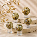 Agatized Quartz sphere by Talk to Crystals, featuring a unique natural healing crystal for emotional healing, trauma recovery, protection, resilience, and Root Chakra healing in India
