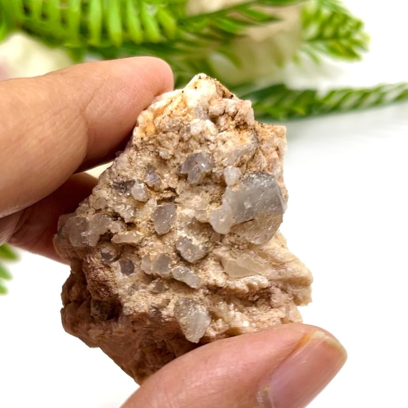 Albite w/ Smoky Quartz Mineral Specimen (California, USA)