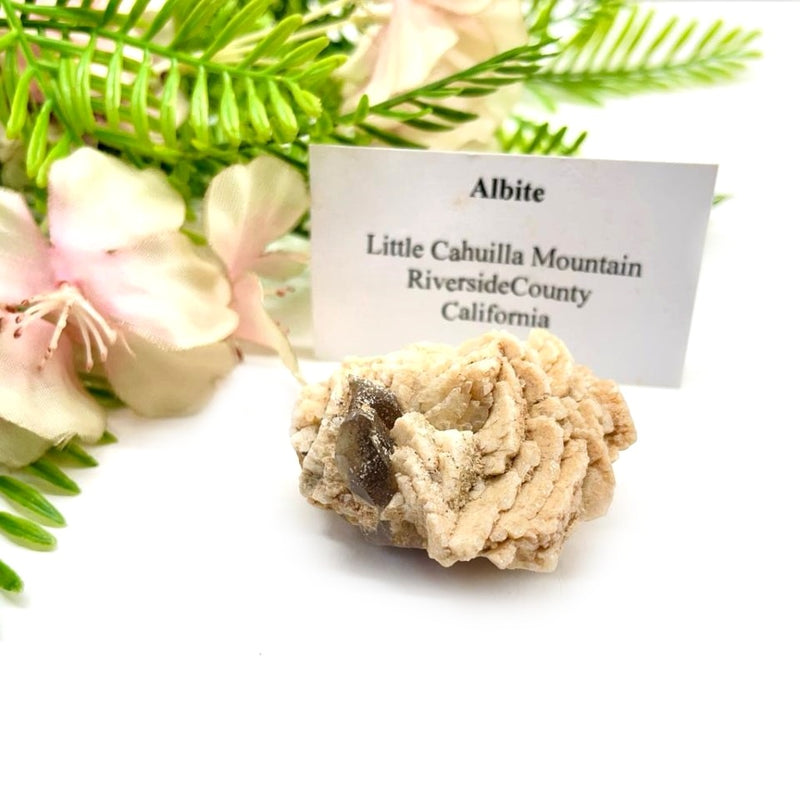 Albite w/ Smoky Quartz Mineral Specimen (California, USA)