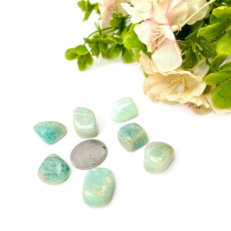 Amazonite Tumble stone (Hope and Success)