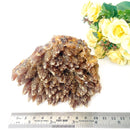 Amber Calcite Clusters (Manifestation & Courage)