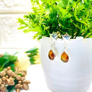 Amber Earrings in Silver