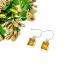 Amber Earrings in Silver